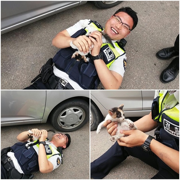 這名警察就到小貓後止不住臉上開心的笑容，被網友稱為最可愛的一幕！　取自경기경찰