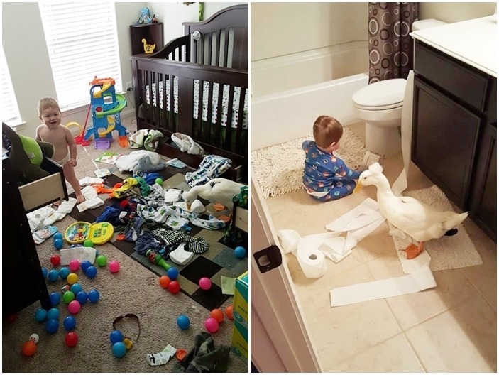 你分得出來哪個才是搗蛋的兇手嗎？　取自Mr. T and Bee