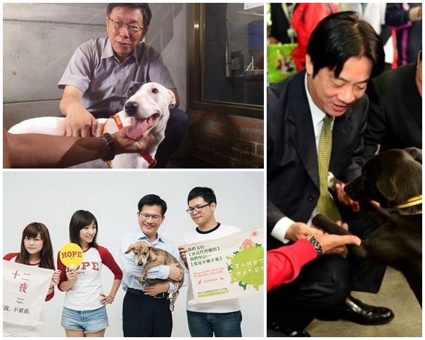 各縣市首長當初提的動保政見，將由民眾來進行後續監督。　取自你挺動保我挺你臉書