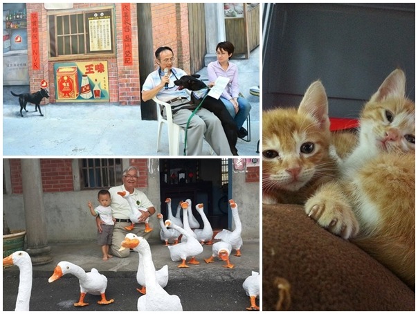 魏明谷、李進勇及林聰賢都有提出動保政見。　取自競選人臉書