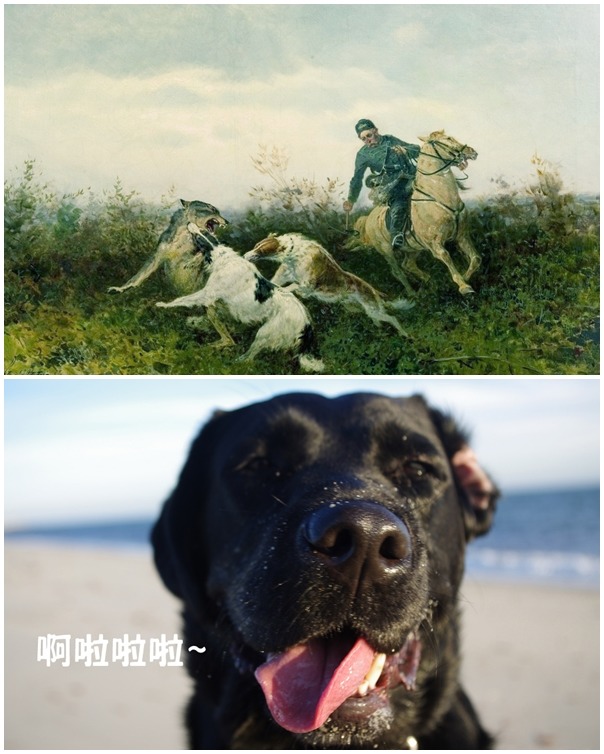 以前的寵物會打獵、現在的寵物只會……..裝傻？　取自google創用cc