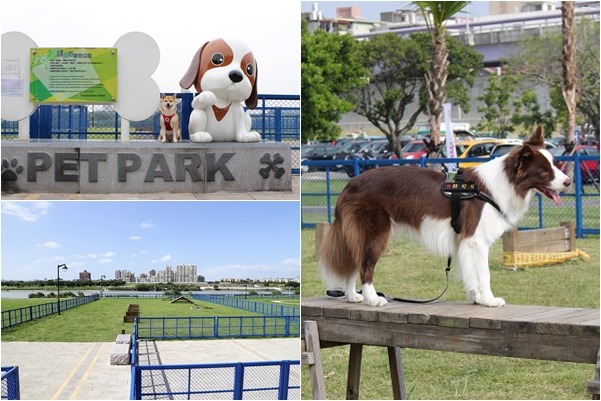 永和綠寶石寵物公園，同樣位於河濱公園，是今年才啟用的嶄新公園！　取自新北市政府官網、(右圖)何宜/攝