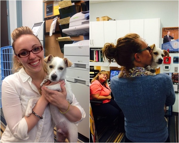 飯店員工也都相當喜歡待在飯店裡等待被領養的狗狗。　取自Aloft飯店臉書