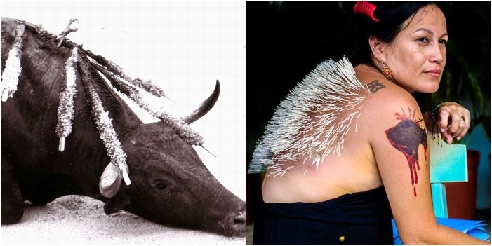 哥倫比亞女子為了抗議當地的鬥牛比賽，在自己背上插上2500根針，象徵公牛受的痛苦。　取自英國鏡報