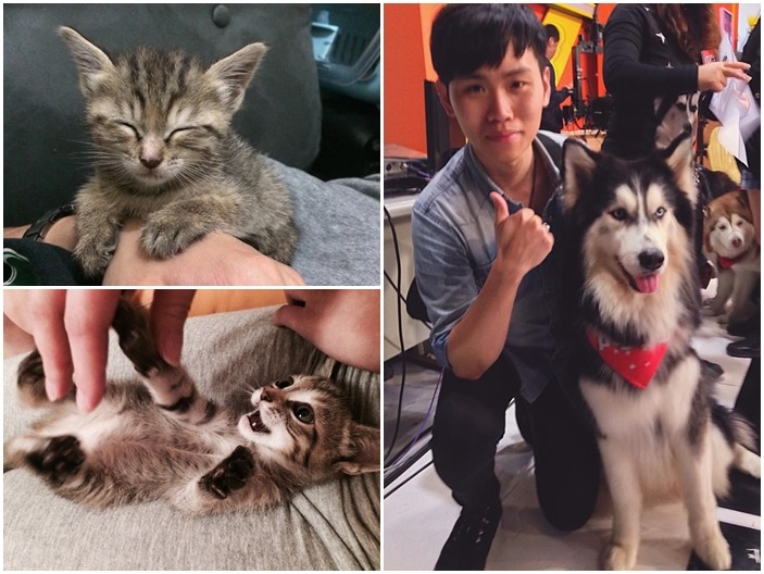 團隊成員Yoyo大學時當過中途,目前自己則養了一隻小貓(左圖上、下);Ivan目前沒有養寵物,但時常會被別人的寵物圍繞(右圖)。 Yoyo、Ivan/提供