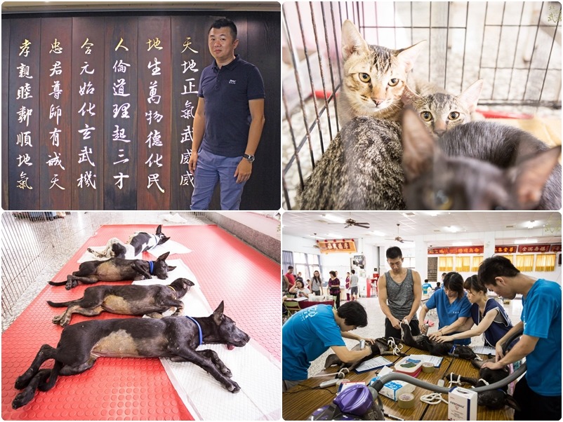 主委林安樂(左上圖)在2012年提出「千萬要守護動物」計畫，每年在雲林北港當地替犬貓絕育、也補助全台不同狗場經費。　(左上)何宜/攝、(其他)取自北港武德宮-財神開基祖廟臉書