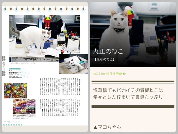 除了能使用完整呈現雜誌排版的PDF模式(左圖)，也能切換可配合螢幕大小重新排版圖文的好讀模式(右圖)，在手機上也能舒適閱讀。　Kono/提供