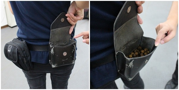 領犬員配備有訂製的腰包,放檢疫犬最喜歡的獎勵:飼料! 何宜/攝