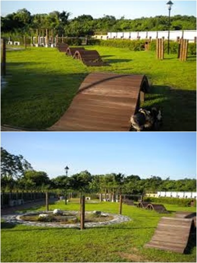 台中寵物公園設有許多狗狗可以鍛鍊、遊戲的設備。　取自網路