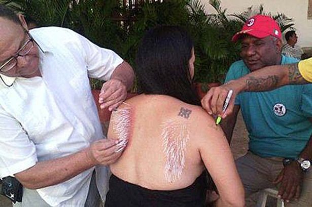 芬妮在活動上表示，如果鬥牛士真的夠勇敢，就請來體會公牛是什麼樣的感受！　取自維基創用cc及鏡報