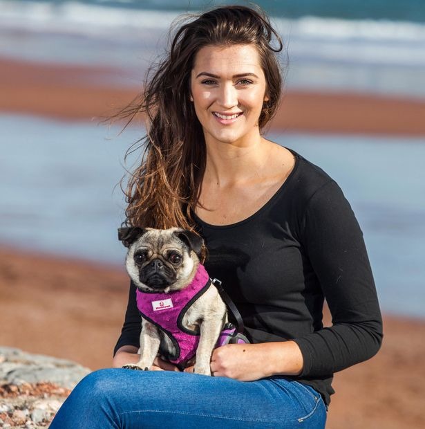 巴哥犬潘妮一直過著連人都稱羨的生活，沒想到在野外意外走失，也讓飼主驚呼原來潘妮在野外也能照顧自己。　翻攝自鏡報