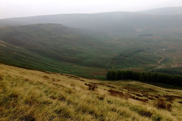 潘妮走失的草原，是一望無際的野外環境，要找到一隻小狗，簡直就像大海撈針般困難。　翻攝自鏡報