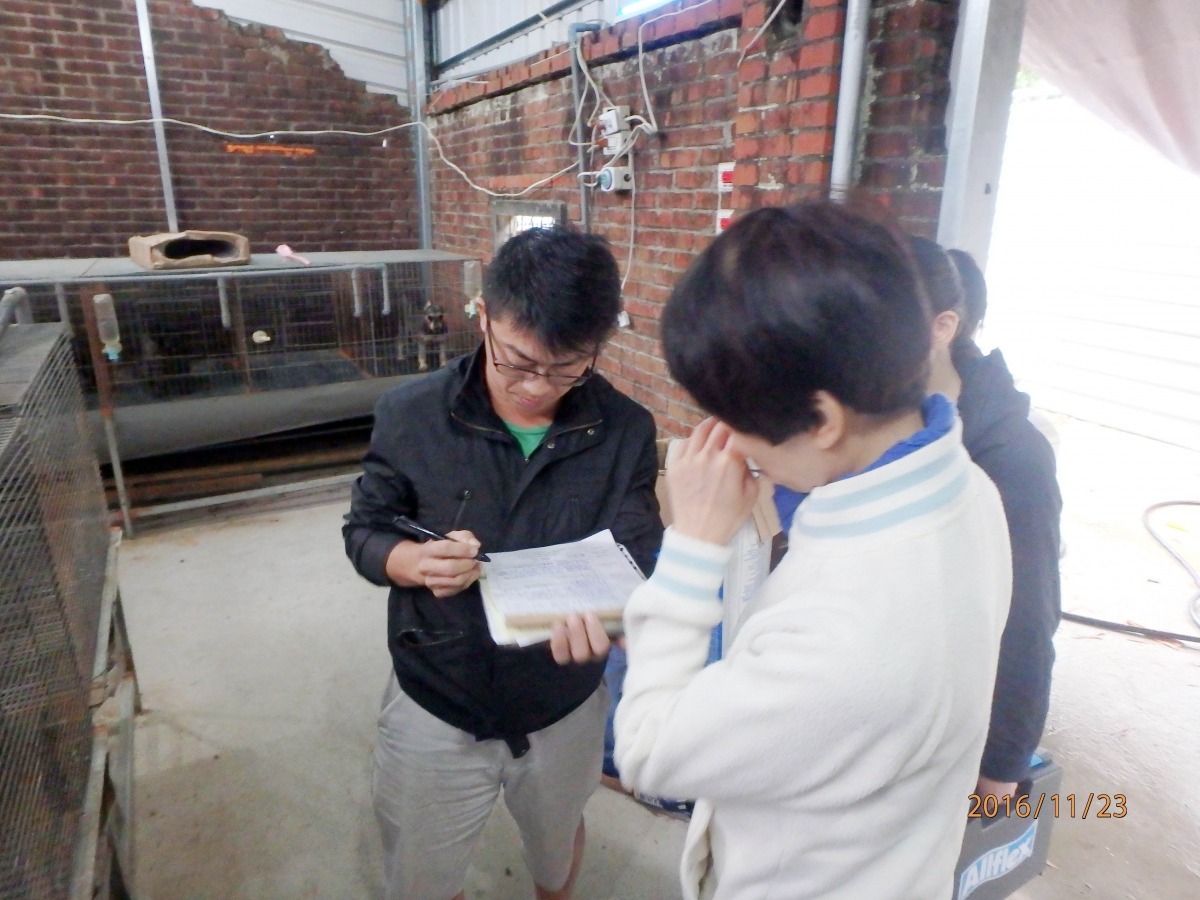 桃園有愛心人士通報一處疑似非法繁殖場,動物保護防疫處前往察看後發現為烏龍一場。 桃園市動物保護防疫處/提供