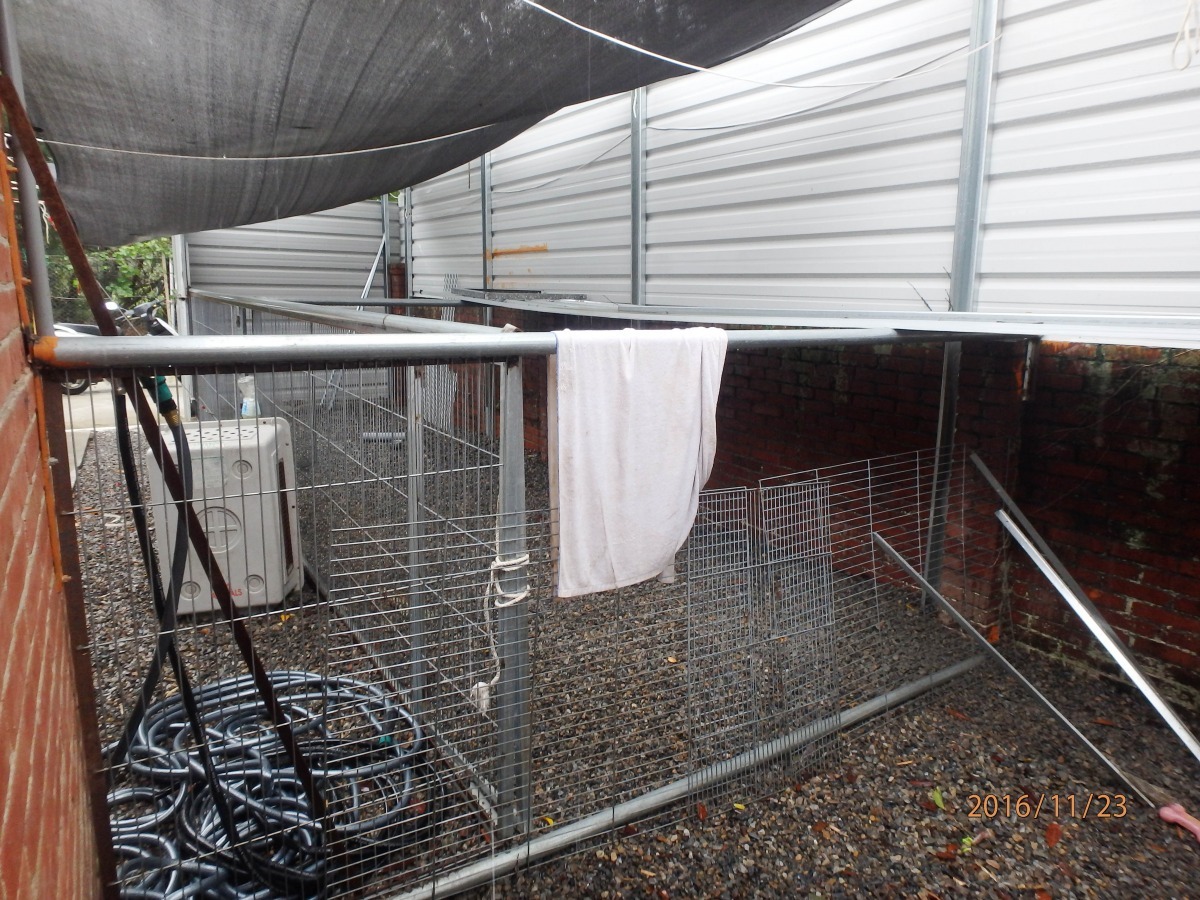 桃園市動物保護防疫處處長陳英豪表示,徐姓業者在過程中都相當配合,也查無違法之處。 桃園市動物保護防疫處/提供