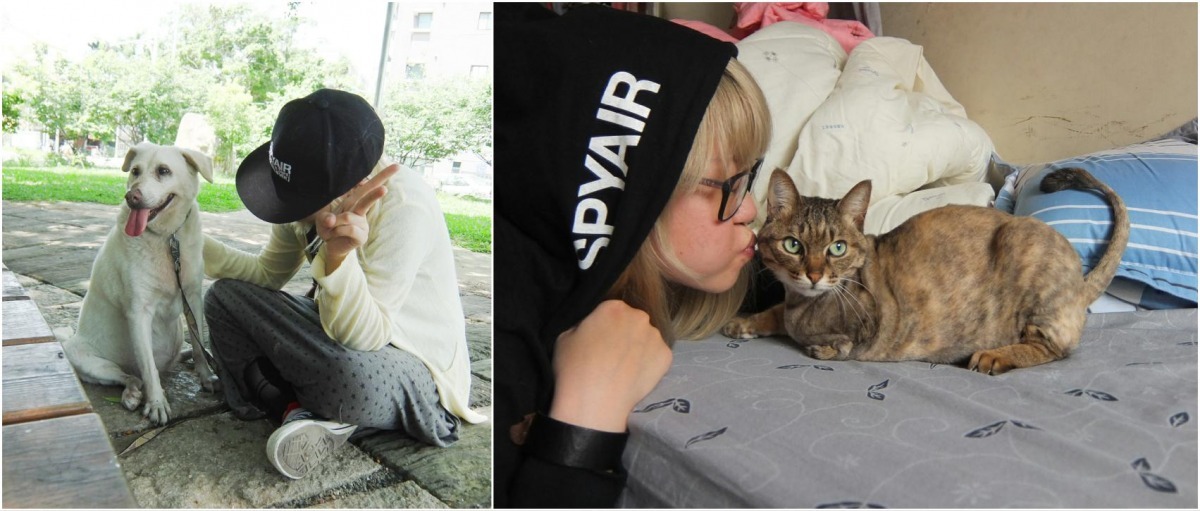 家裡有1狗4貓1蜜袋鼯的柯文卉，對每隻寵物都有很深的情感。圖左為15歲的小白、右為三腳貓小黑。   柯文卉/提供