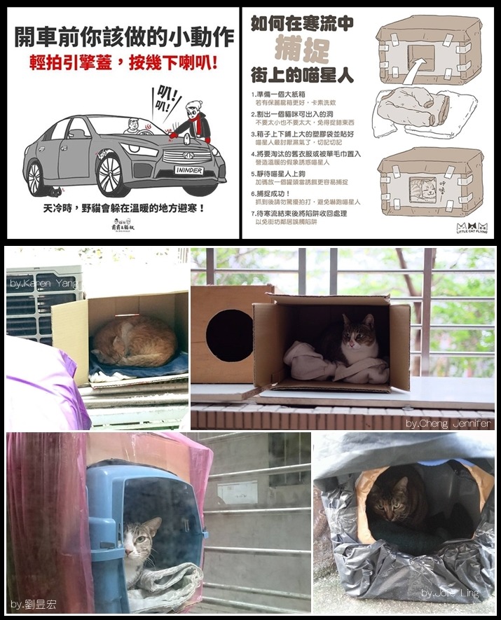 (左上圖)爵爵&貓叔分享給開車族的小叮嚀；(右上圖)爵爵&貓叔、小咖飛分享替街貓製作禦寒小屋的方法，也引起網友紛紛效法響應(下圖)！　　取自小咖飛Little Cat Flying