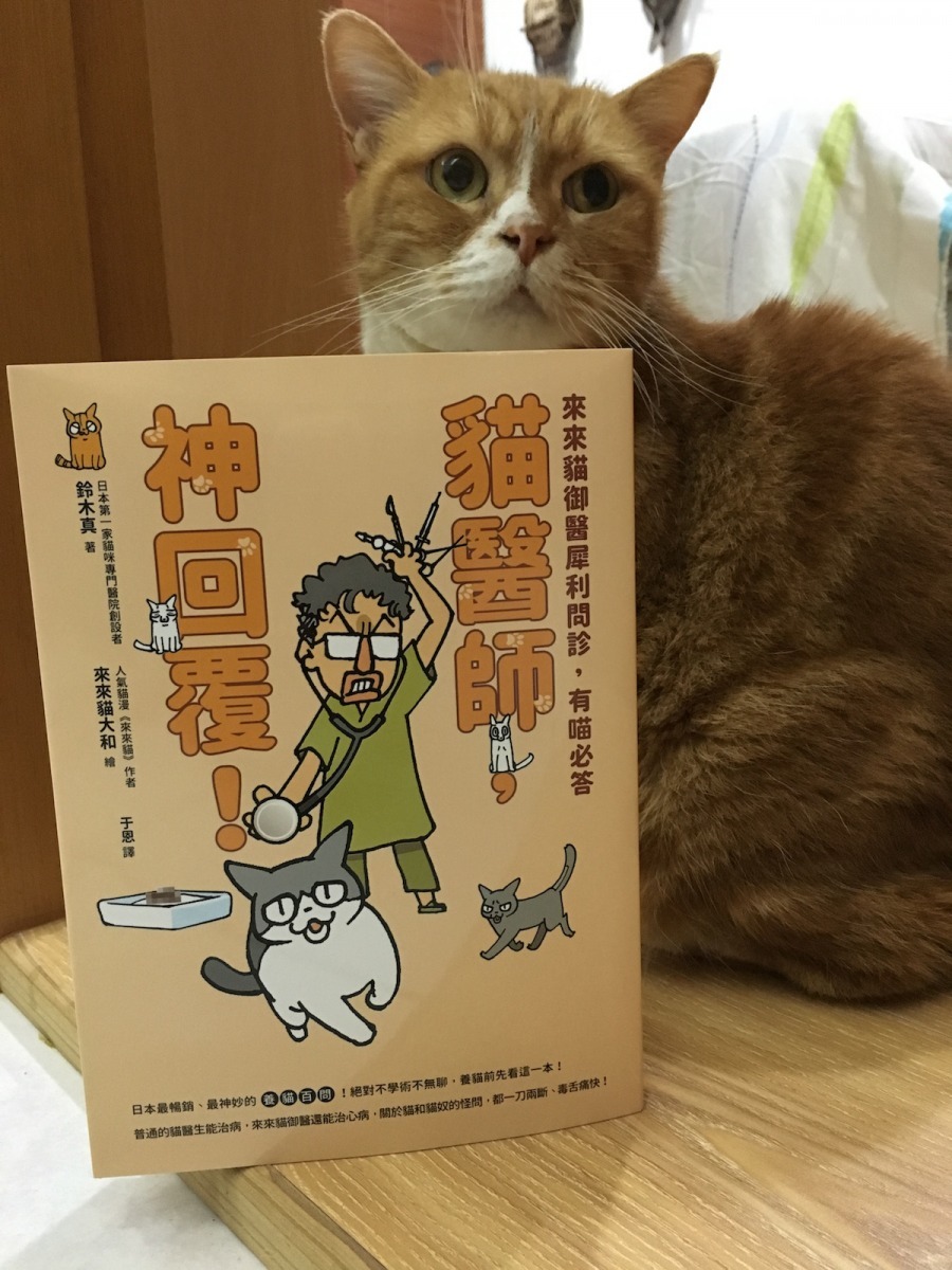 你有關於貓咪的一百萬個為什麼想要問，卻又擔心問題太白痴而不敢問獸醫嗎？《貓醫師，神回覆！》這本書可以替你解答心中埋藏已久的疑惑！   蔡緯蓉/提供
