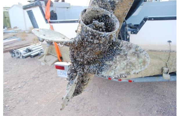 斑馬貽貝會棲息在船槳上、或是鄰近河口的工業機器中，造成巨大的工業損害。　取自亞伯達環境中心