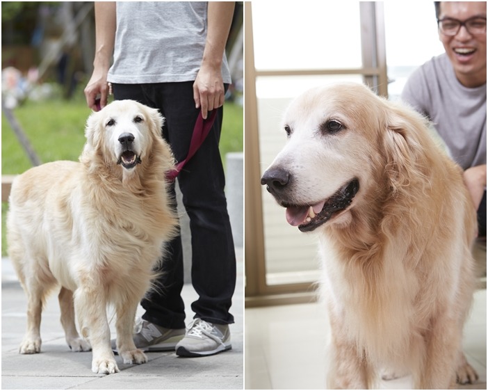 知名的廣播節目「阿貓阿狗逛大街」主持人林清盛，將與愛犬貝克漢的相處撰寫成《第十個約定》一書，希望能療癒所有失去過寵物飼主的心靈。　新經典文化/提供