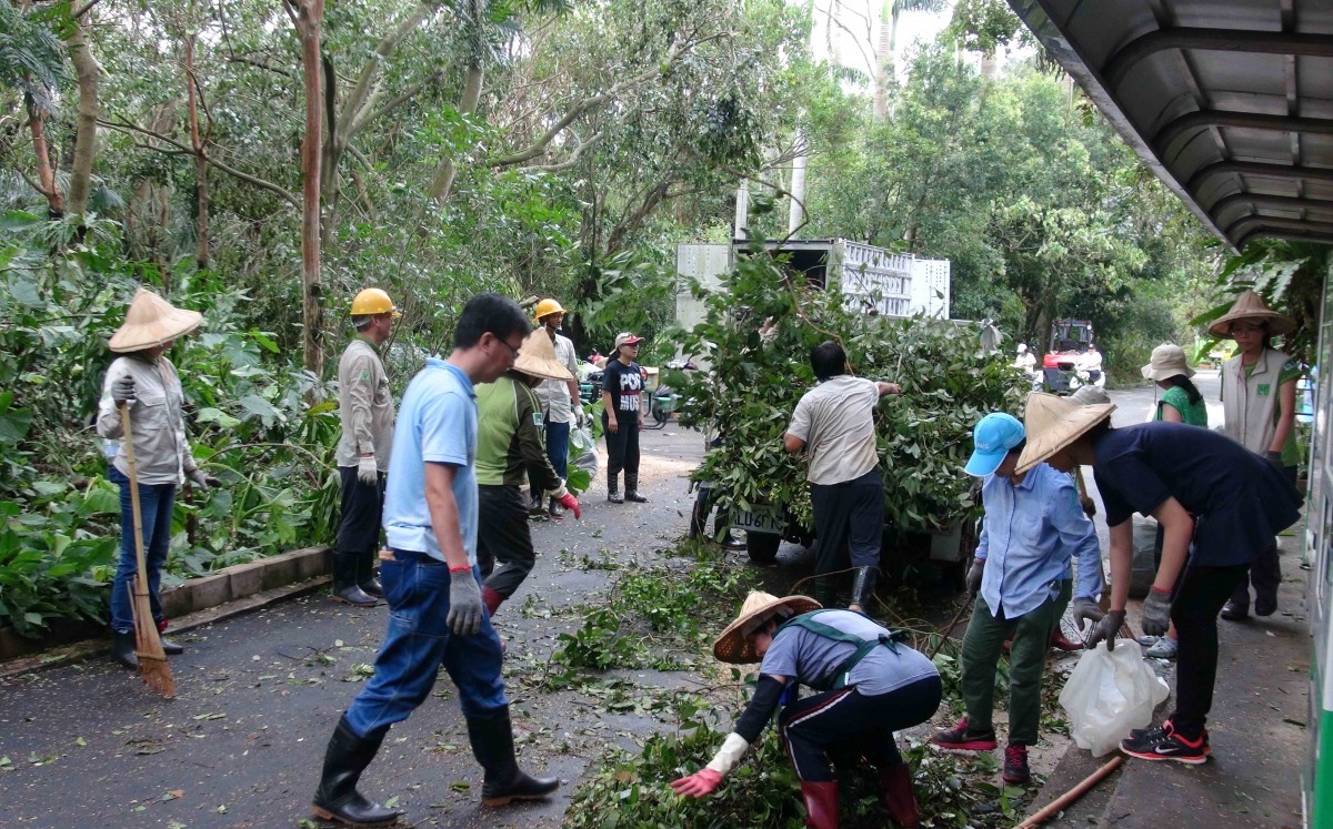 近日動物園投入相當多人力進行園區內修復作業,相當辛苦! 台北動物園/提供