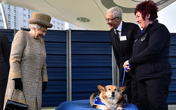 巴特西動物之家趁「科基迷」英國女王來參訪時,問女王是否想再多養一隻科基。 翻攝自The Telegraph