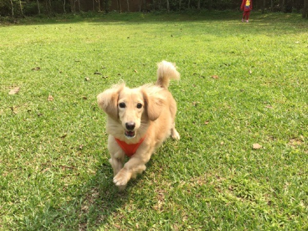 No.118陽光女孩：好天氣就是該出門去跑跑，曬曬太陽。 票數1961