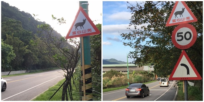 為了不讓憾事再度發生,新北市動保處也在山羌通報路段加裝告示牌,希望提醒用路人。 新北市動保處/提供