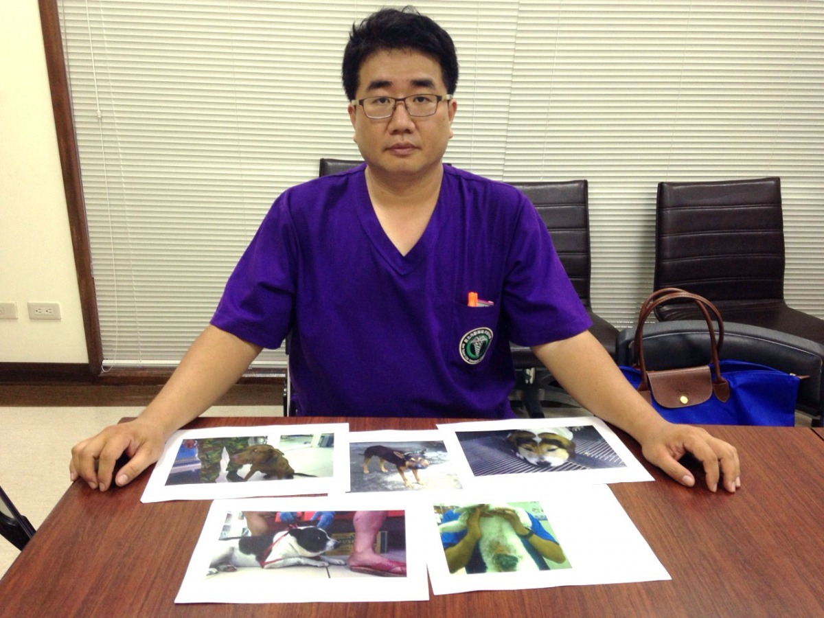 長期替動物爭取抗蛇毒血清的蕭承浩拿著接觸過的病例。　何宜/攝