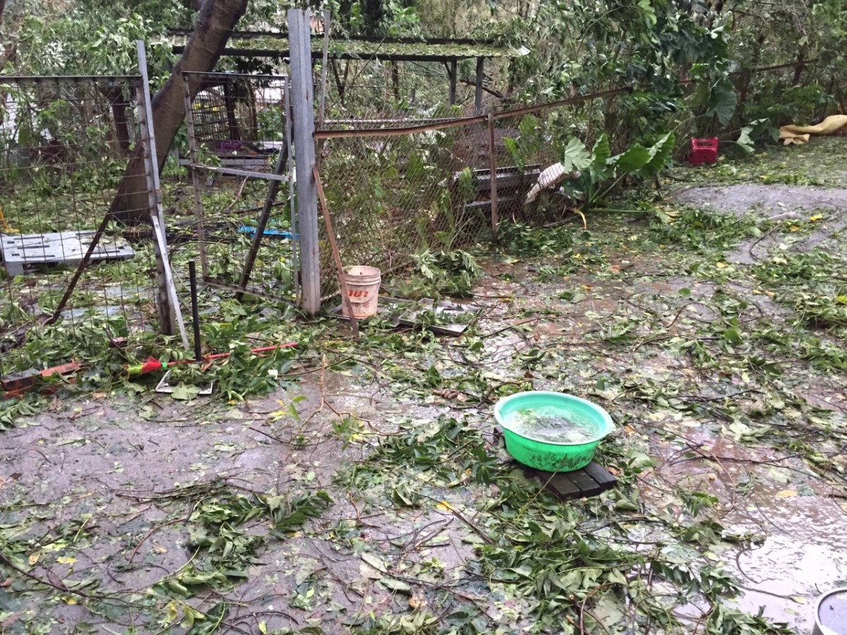 去年蘇迪勒颱風也重創許多狗園，愛爸愛媽第一時間都忙著清理。　資料照（「毛小孩不孤單」志工團/提供）