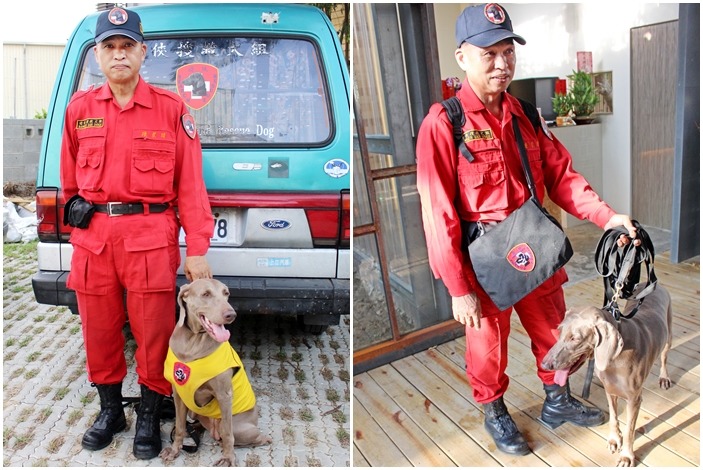 在中華民國搜救總隊擔任教官的陳星瑋，對搜救犬有極高興趣，自行投入訓練，目前與自己命名為「林志玲」的威瑪獵犬搭檔合作。　何宜/攝