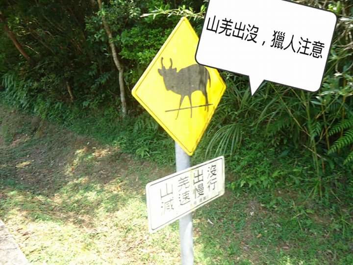 雙泰公路上的山羌警示牌。 郭敏儒/授權提供
