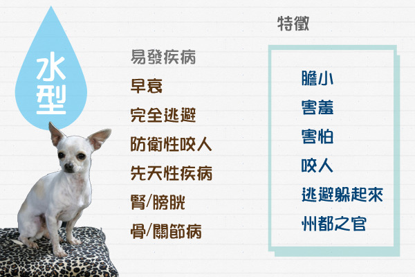 資料/謝旻莉、製圖/何宜、圖片/取自網路