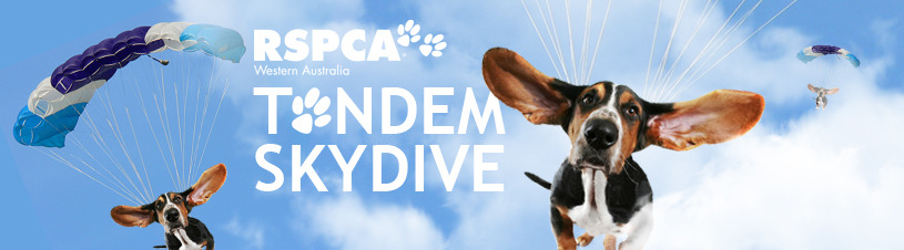 喬伊阿嬤為了澳洲防止虐待動物協會「為毛孩跳傘募款」活動，獻出91歲的一跳！　取自RSPCA WA