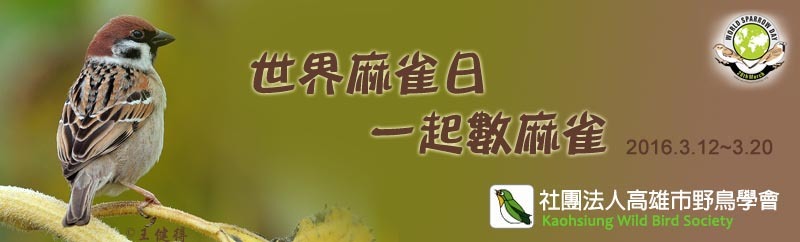 這幾天多留意身旁的麻雀，一起來回報數量喔！　王健得/攝