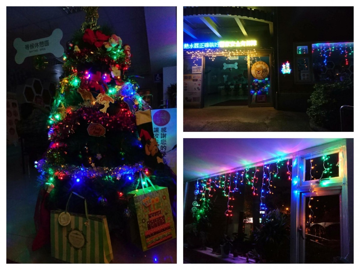 祝福在平安夜找到新家的所有毛孩子! 台北動物之家/提供