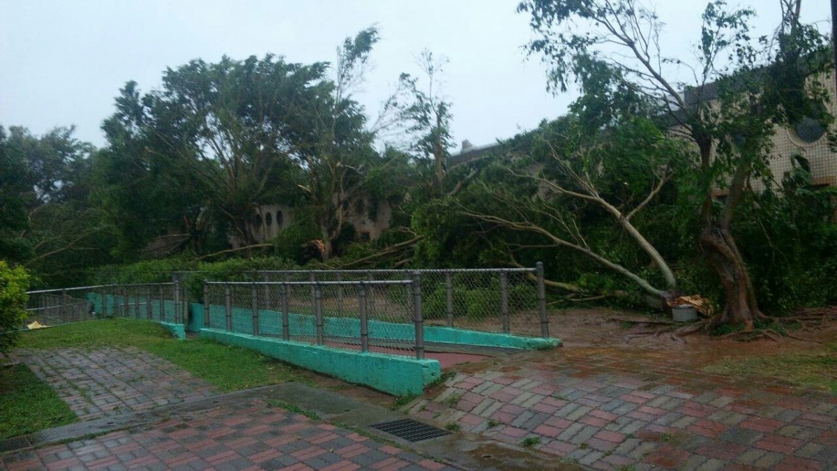 台中動物之家休園至星期三(8/12),僅開放民眾領回走失的貓狗。 台中市動保處/提供