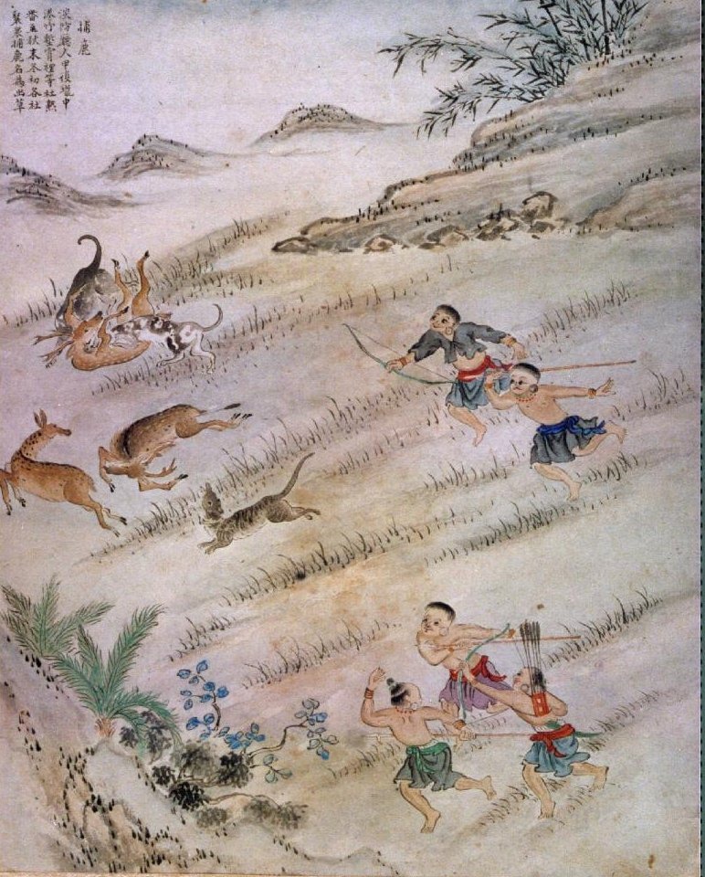 早期梅花鹿是人民重要的蛋白質來源，全台皆可見。　取自維基百科