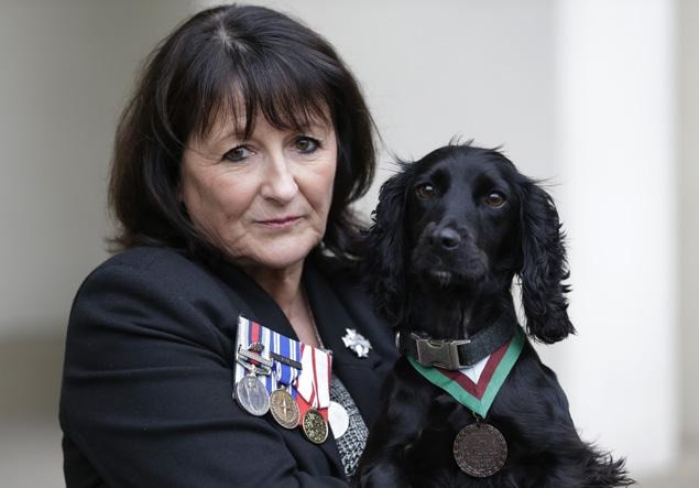 近年來迪金勳章頒發的對象多為工作犬,例如導盲犬、搜救犬、偵爆犬等等。 取自網路