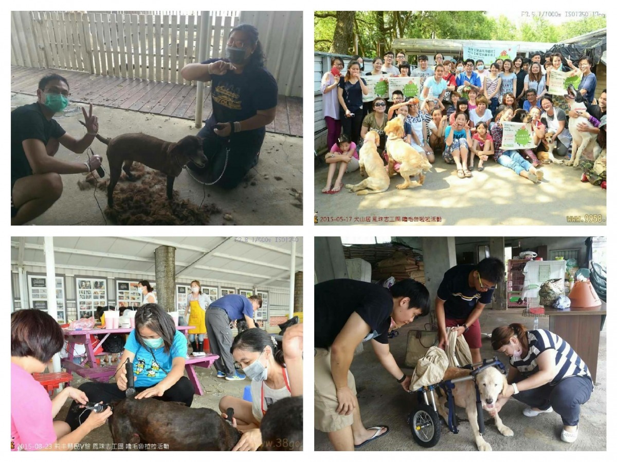 動保志工吳鳳珠與朋友們24日將包2部遊覽車至台南狗園當志工、日前也包場觀看「第13日眾生平等」紀錄片。 吳鳳珠/提供