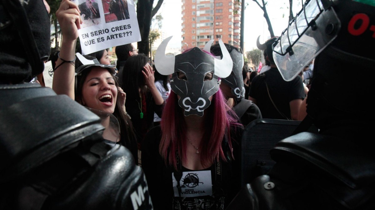 哥倫比亞今年重新舉辦鬥牛比賽，讓當地的動物保護份子時常舉辦抗議活動，而上周末發生的爆炸案，也被懷疑與動團有關。示意圖。　取自fusion.net