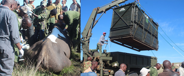 由三個組織聯手合作，完成這次原放的創舉。　取自Lewa Wildlife Conservancy官網