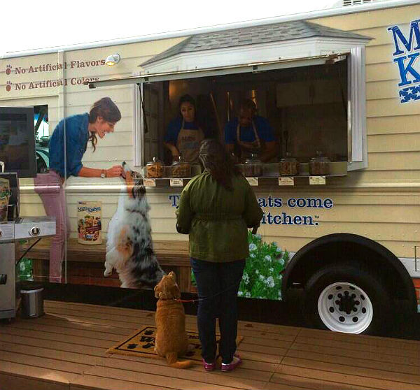 飼主帶著愛犬在寵物零食餐車前等待。　取自網路