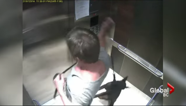 美商CEO黑格在電梯內虐待一隻小狗的畫面引起民眾痛批。　取自影片