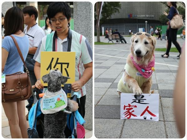 「你」「是家人」，無可取代、不買也不賣。   何宜/攝