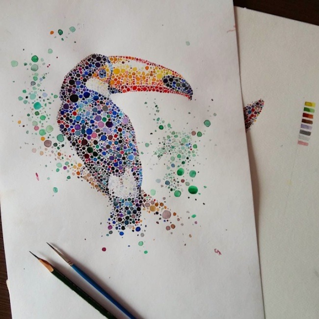 熱帶雨林才見得到的大嘴鳥。　取自stupiddope