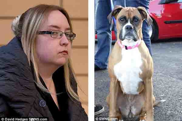 (左)犯下虐狗案的女實習律師、(右)被餓死的拳師犬Roxy。　取自網路