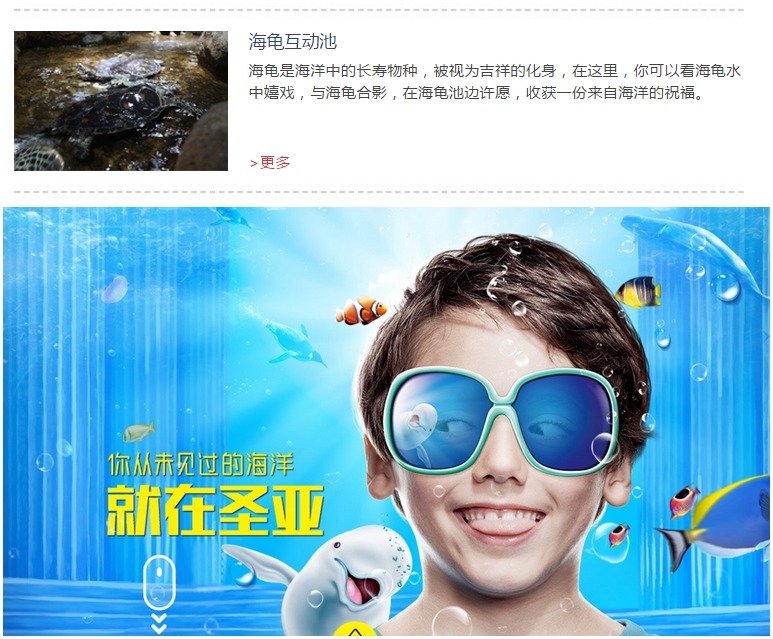 在聖亞海洋世界官網上，直接挑明可以在海龜池邊許願，再看看海洋世界的宣傳詞，格外諷刺。　翻攝自聖亞海洋世界