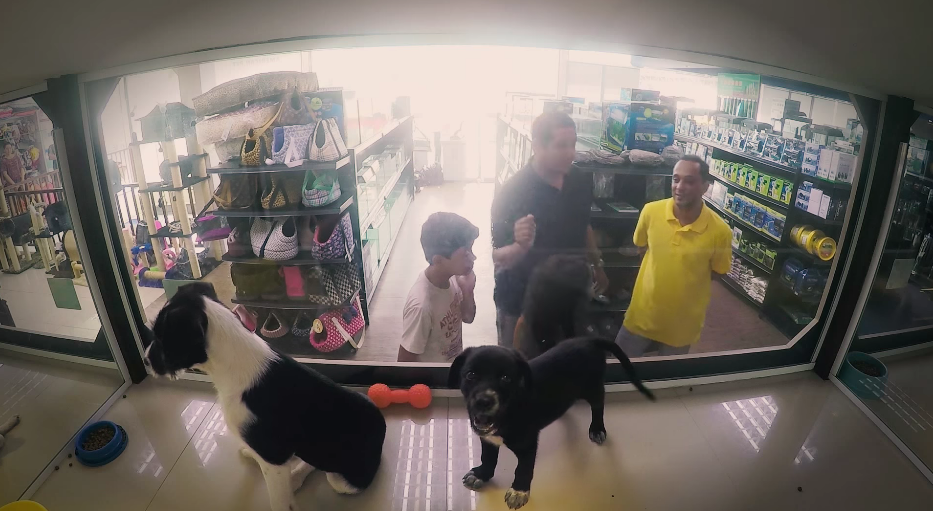 店員說你想買的這隻狗不用錢,爸爸驚呼:你在開玩笑嗎? 翻攝自影片