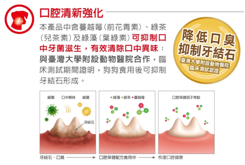 台大動物醫院經過2個月的臨床測試，可改善牙結石。 何宜/攝