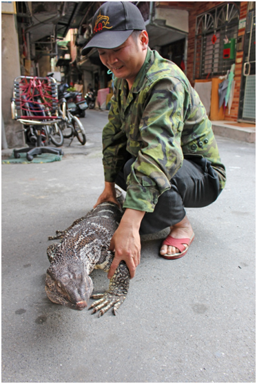 羅勝隆帶著飼養的非洲巨蜥在巷子裡散步逛大街。  何宜/攝
